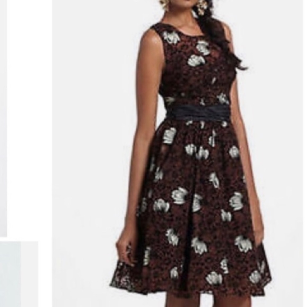 Anthropologie Frock by Tracy Reese Silk Chrysanthemum Floral Dress Size 0